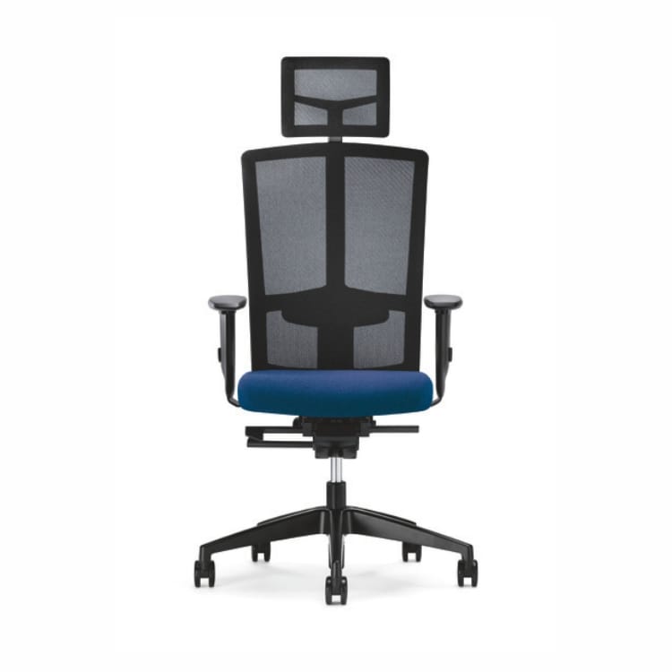 Goal-Air 172G: Ergonomic task chair with breathable mesh back and blue seat.