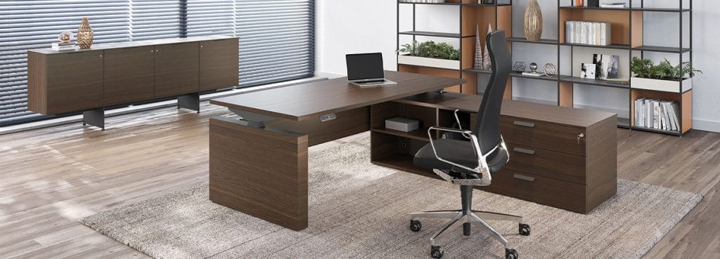 Alea CRONO X height-adjustable desk in a modern office setting.