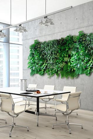 Modern office featuring lush Green Walls. Enhance your space with nature's beauty.