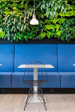 Modern office space with Green Walls, blue seating, and a wire chair.