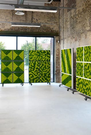 Modern green walls with moss patterns. Eco-friendly interior design.