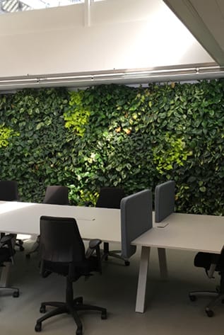 Office space featuring vibrant Green Walls. Enhance your workspace with lush greenery.
