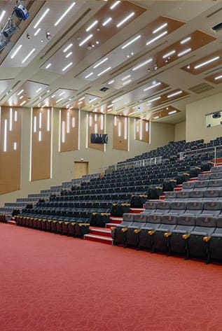 Elegant Theater seating with red carpet, tiered rows, and modern lighting.