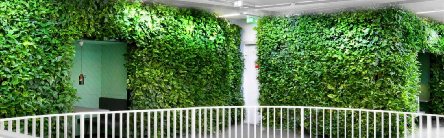 Hero - Green Walls