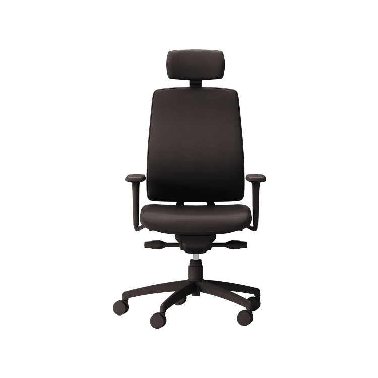 Ergonomic black Oscar task chair with adjustable lumbar support and headrest.