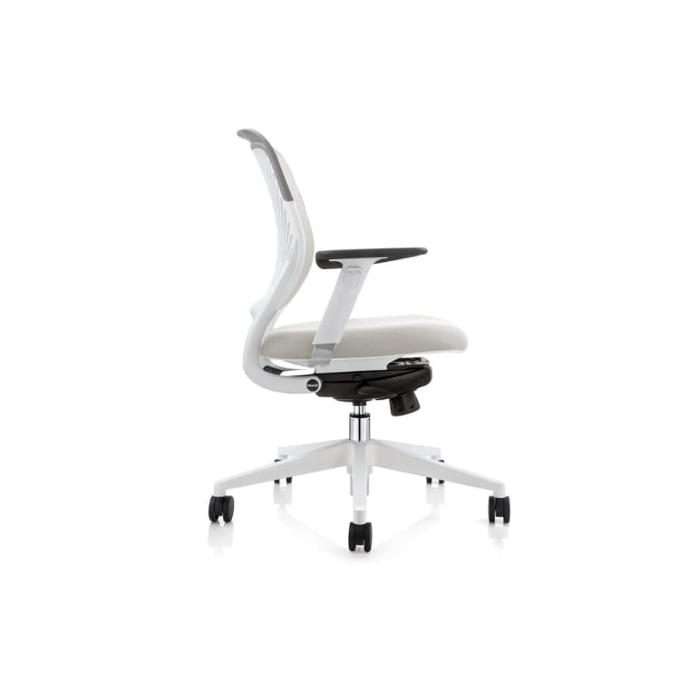 Sky ergonomic mesh chair, white frame, adjustable lumbar support.