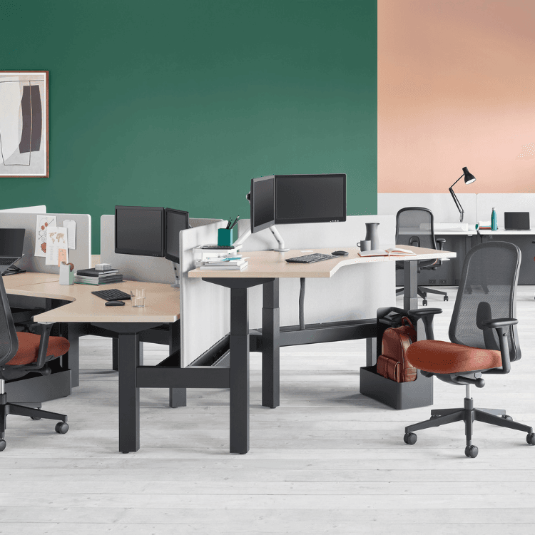 Nevi Link height-adjustable desks in a modern office. Light wood tops with black frames, promoting active working.