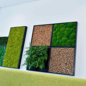 BioMontage Moss Frames & Room Dividers