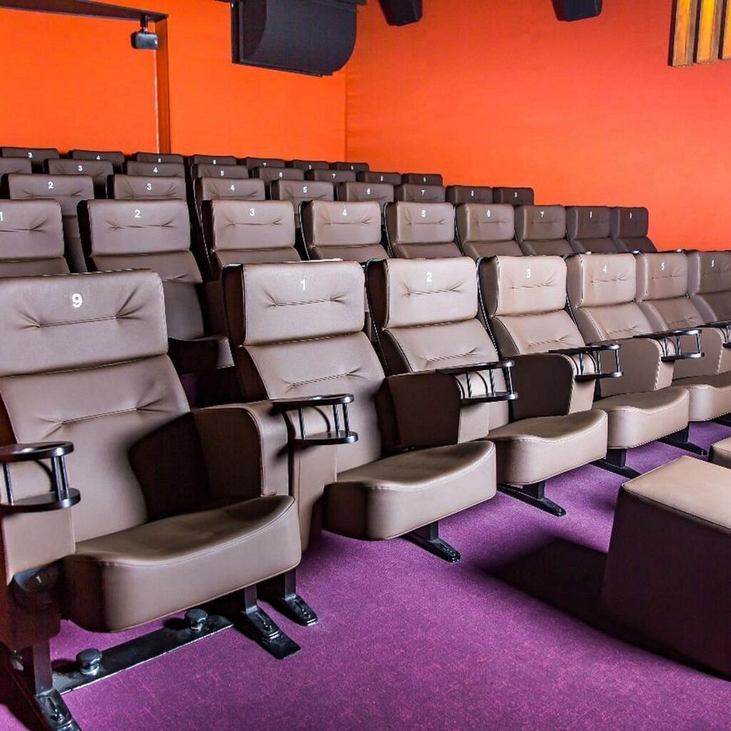 Brown Nevada cinema seats with numbered backrests