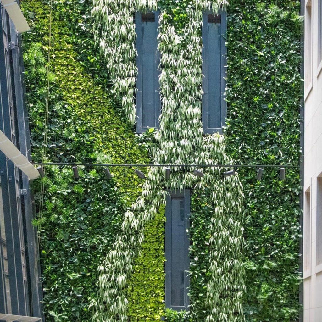 Tall indoor living wall in a glazed atrium