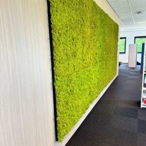 Preserved Moss Wall Panels
